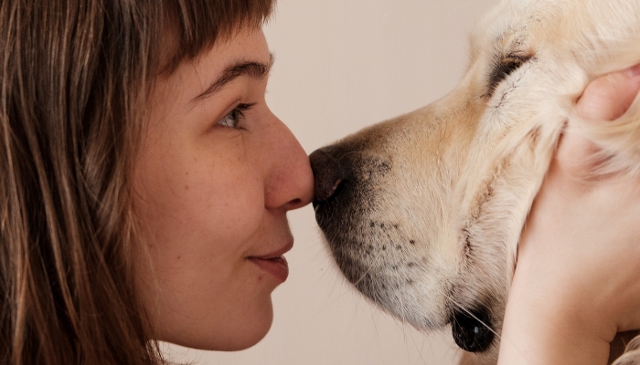 Celebrando o amor incondicional entre humanos e animais