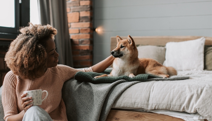 Curiosidades fascinantes sobre pets