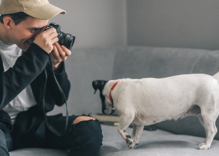 Como criar um pet influencer