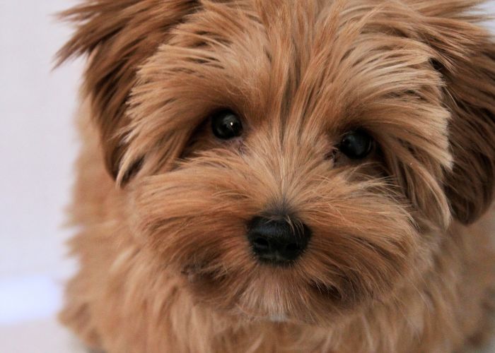 Sobre o Mundo da Brisa